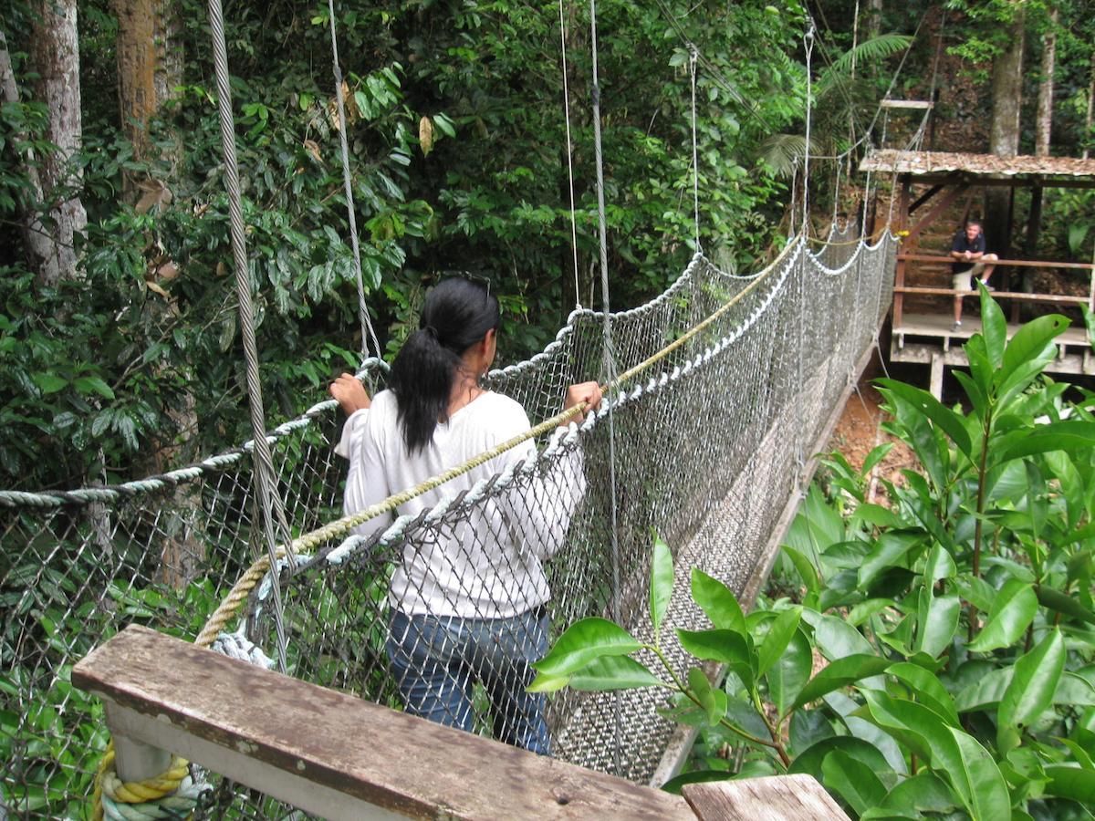 Iwokrama River Lodge Makari Exteriör bild